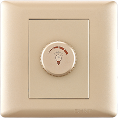 Rival switch light intensity control 500 watts - gold