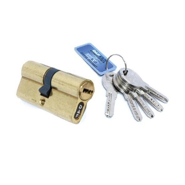 Computer Keys Cylinder Lock (Gold Plated)